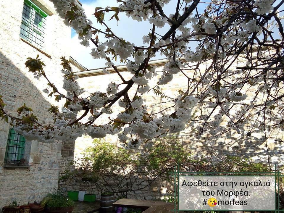 Morfeas Guesthouse Papigkon Exteriör bild
